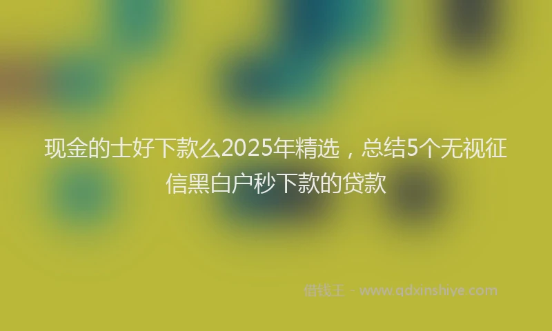 现金的士好下款么2025年精选，总结5个无视征信黑白户秒下款的贷款