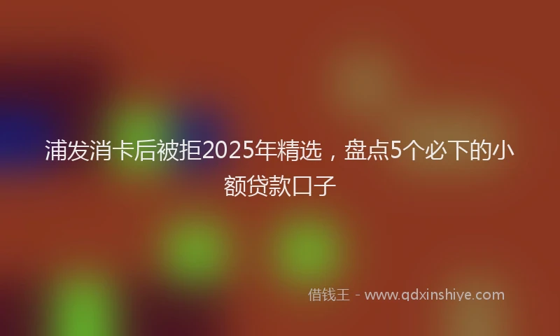 浦发消卡后被拒2025年精选，盘点5个必下的小额贷款口子