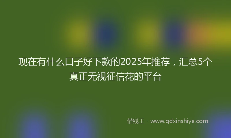 现在有什么口子好下款的2025年推荐，汇总5个真正无视征信花的平台