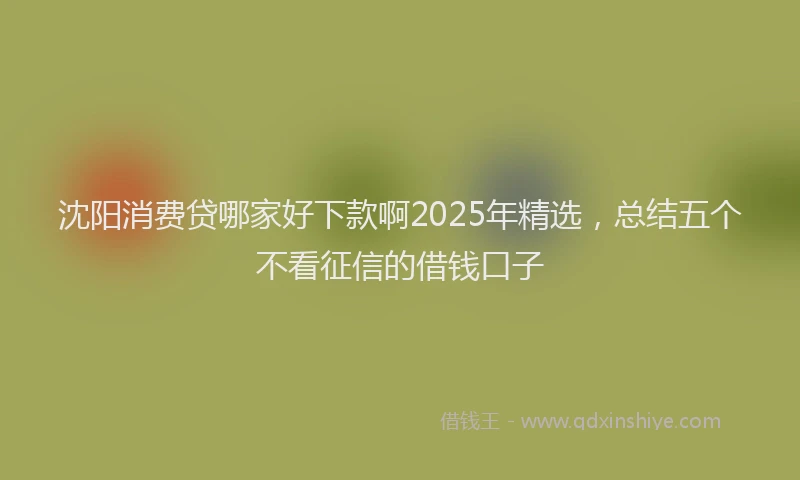 沈阳消费贷哪家好下款啊2025年精选，总结五个不看征信的借钱口子