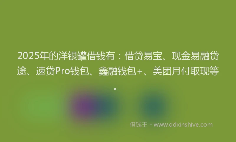 2025年的洋银罐借钱有：借贷易宝、现金易融贷途、速贷Pro钱包、鑫融钱包+、美团月付取现等。