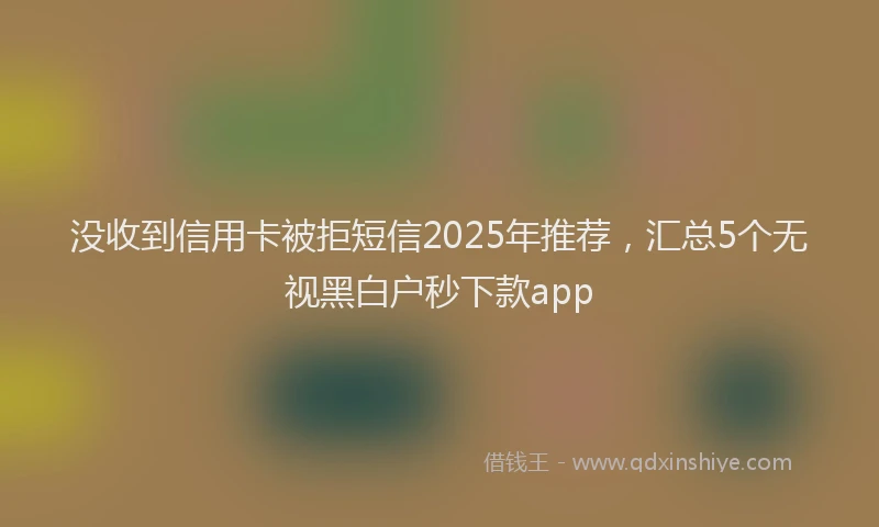 没收到信用卡被拒短信2025年推荐，汇总5个无视黑白户秒下款app