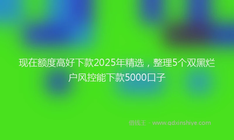 现在额度高好下款2025年精选，整理5个双黑烂户风控能下款5000口子