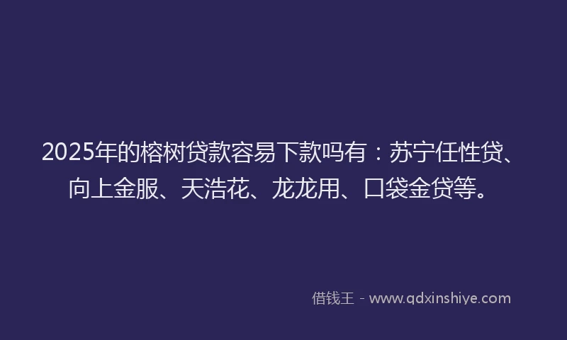 2025年的榕树贷款容易下款吗有：苏宁任性贷、向上金服、天浩花、龙龙用、口袋金贷等。