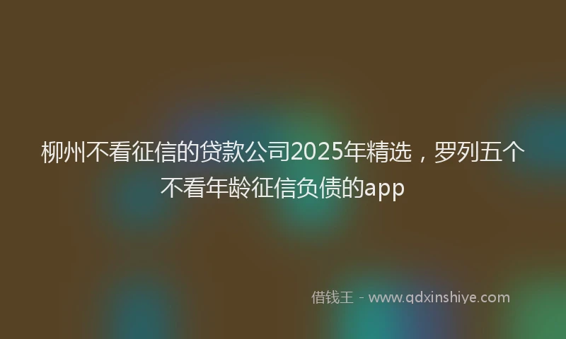 柳州不看征信的贷款公司2025年精选，罗列五个不看年龄征信负债的app