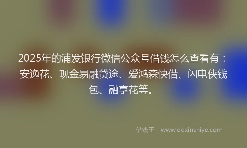 2025年的浦发银行微信公众号借钱怎么查看有：安逸花、现金易融贷途、爱鸿森快借、闪电侠钱包、融享花等。