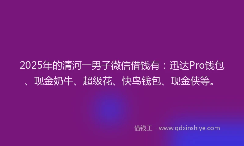 2025年的清河一男子微信借钱有：迅达Pro钱包、现金奶牛、超级花、快鸟钱包、现金侠等。
