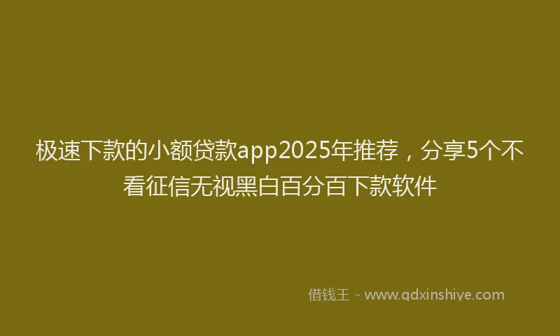 极速下款的小额贷款app2025年推荐，分享5个不看征信无视黑白百分百下款软件
