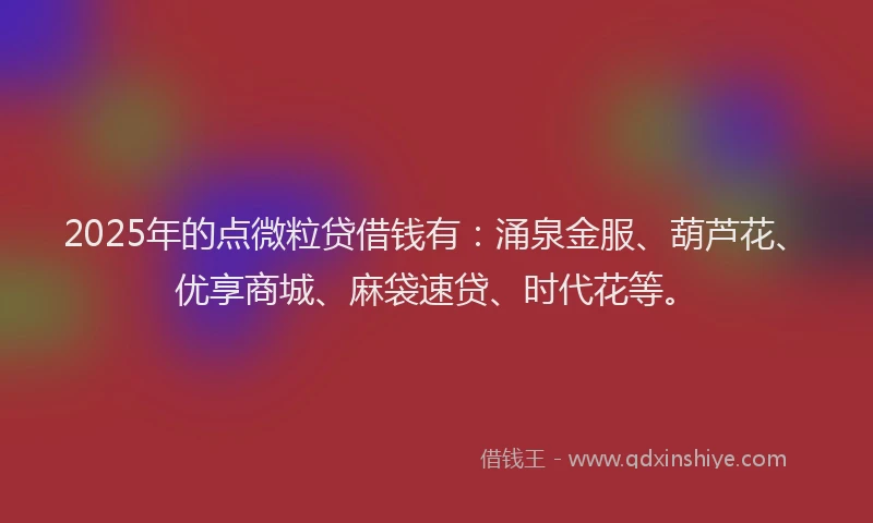 2025年的点微粒贷借钱有：涌泉金服、葫芦花、优享商城、麻袋速贷、时代花等。