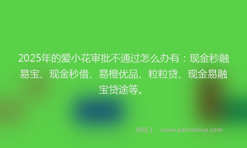2025年的爱小花审批不通过怎么办有：现金秒融易宝、现金秒借、易橙优品、粒粒贷、现金易融宝贷途等。