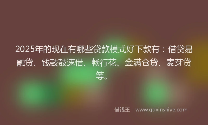 2025年的现在有哪些贷款模式好下款有：借贷易融贷、钱鼓鼓速借、畅行花、金满仓贷、麦芽贷等。