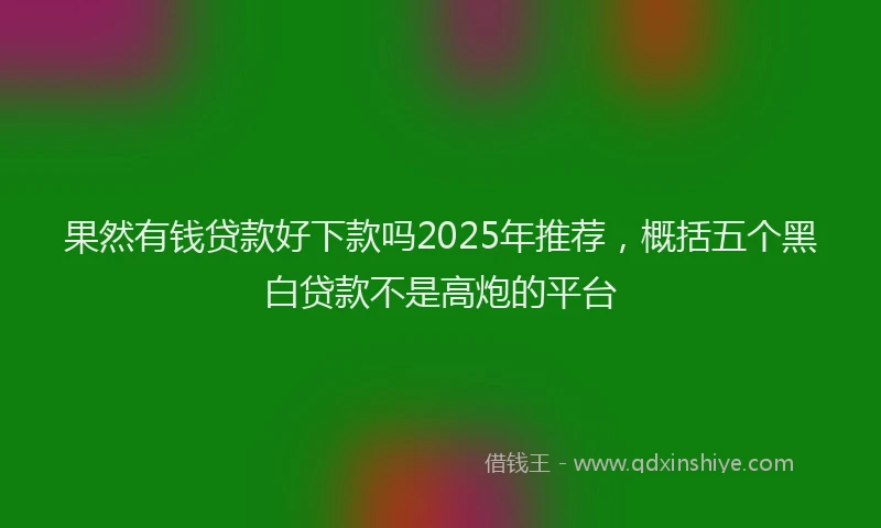 果然有钱贷款好下款吗2025年推荐，概括五个黑白贷款不是高炮的平台