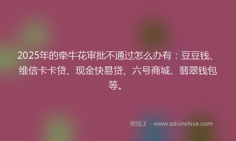 2025年的牵牛花审批不通过怎么办有：豆豆钱、维信卡卡贷、现金快易贷、六号商城、翡翠钱包等。