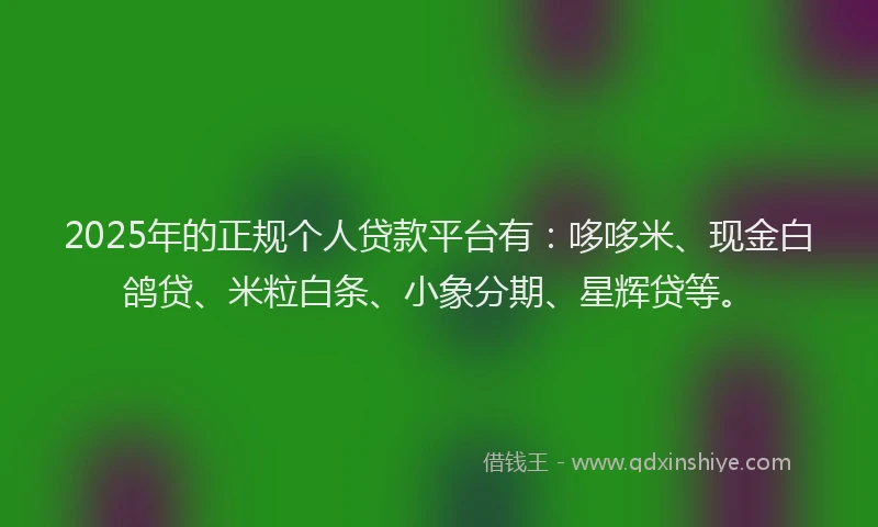 2025年的正规个人贷款平台有：哆哆米、现金白鸽贷、米粒白条、小象分期、星辉贷等。