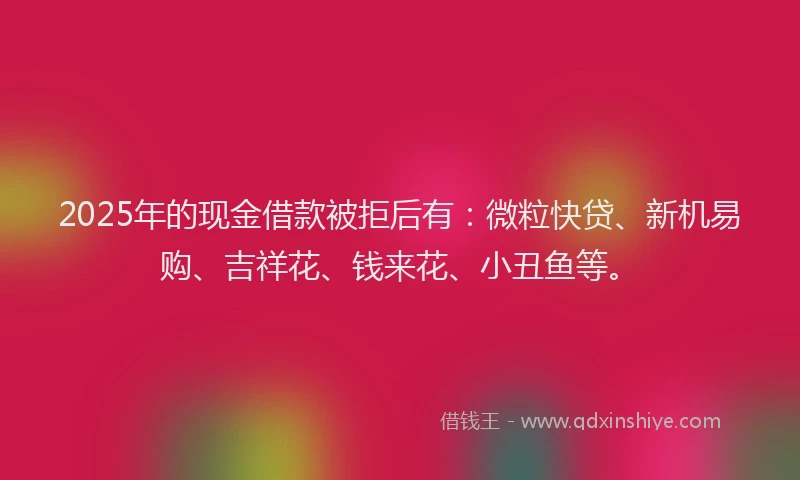2025年的现金借款被拒后有：微粒快贷、新机易购、吉祥花、钱来花、小丑鱼等。