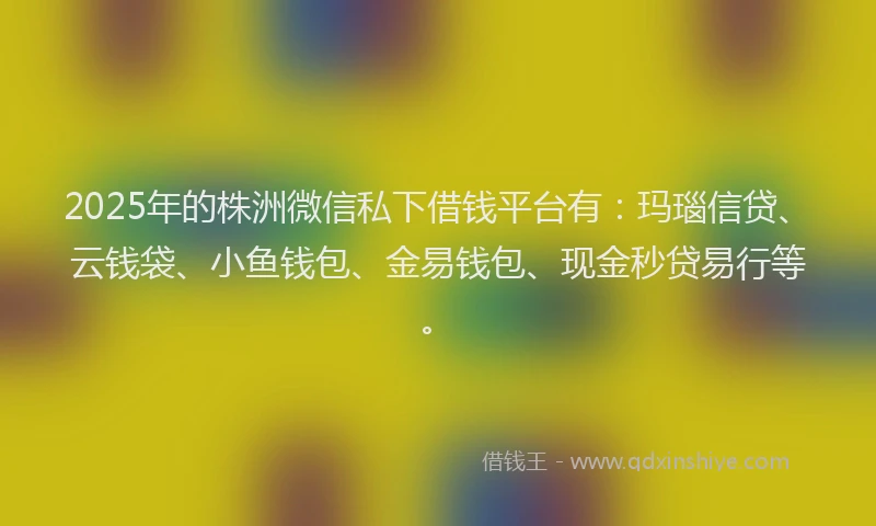 2025年的株洲微信私下借钱平台有：玛瑙信贷、云钱袋、小鱼钱包、金易钱包、现金秒贷易行等。