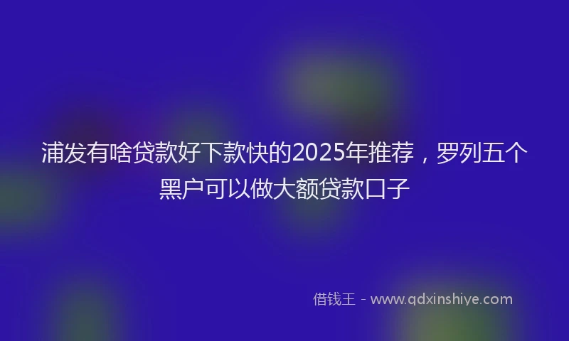 浦发有啥贷款好下款快的2025年推荐，罗列五个黑户可以做大额贷款口子