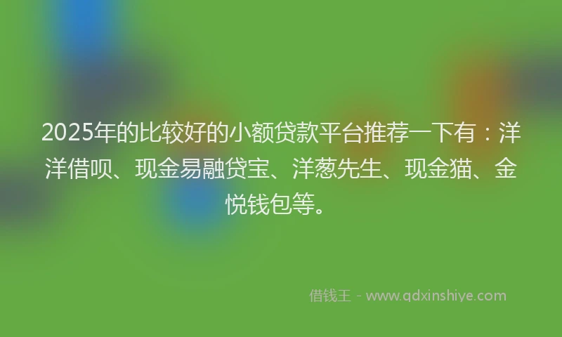 2025年的比较好的小额贷款平台推荐一下有：洋洋借呗、现金易融贷宝、洋葱先生、现金猫、金悦钱包等。