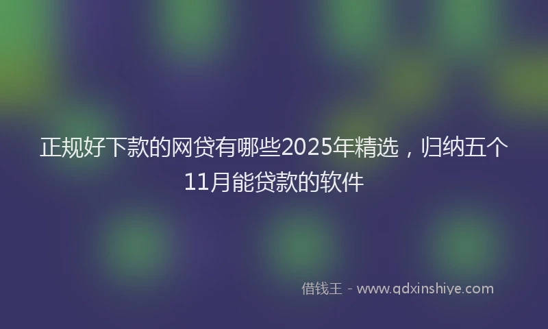正规好下款的网贷有哪些2025年精选，归纳五个11月能贷款的软件