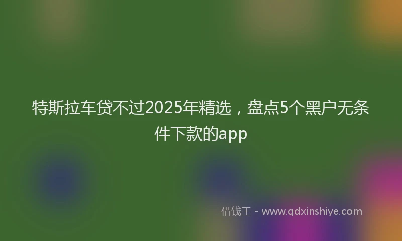 特斯拉车贷不过2025年精选，盘点5个黑户无条件下款的app