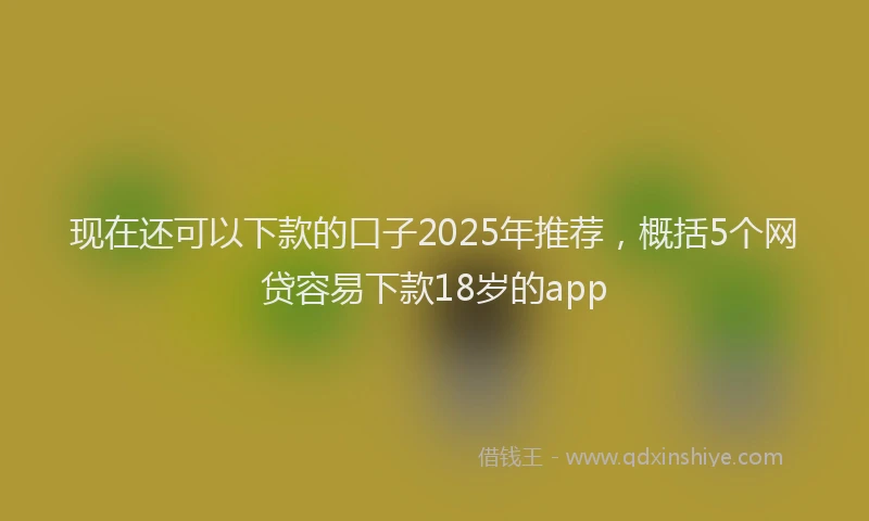 现在还可以下款的口子2025年推荐，概括5个网贷容易下款18岁的app