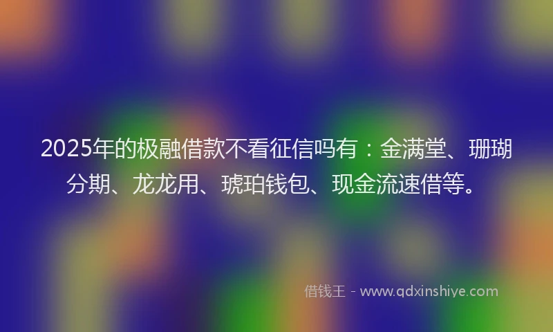 2025年的极融借款不看征信吗有：金满堂、珊瑚分期、龙龙用、琥珀钱包、现金流速借等。