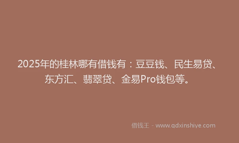 2025年的桂林哪有借钱有：豆豆钱、民生易贷、东方汇、翡翠贷、金易Pro钱包等。