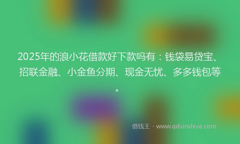 2025年的浪小花借款好下款吗有：钱袋易贷宝、招联金融、小金鱼分期、现金无忧、多多钱包等。