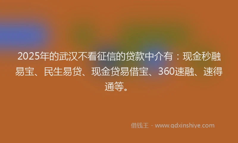 2025年的武汉不看征信的贷款中介有：现金秒融易宝、民生易贷、现金贷易借宝、360速融、速得通等。