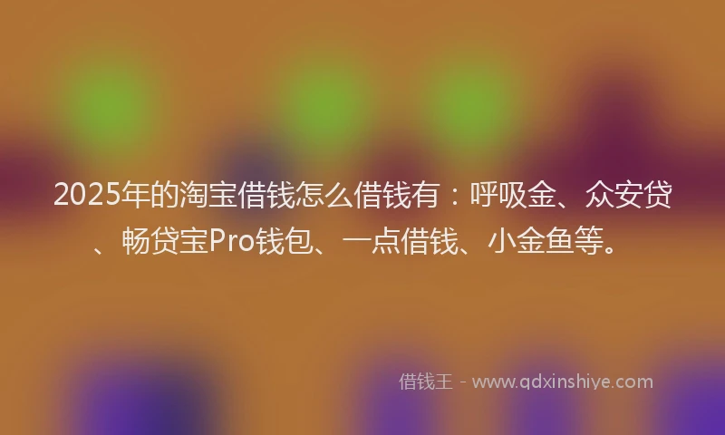 2025年的淘宝借钱怎么借钱有：呼吸金、众安贷、畅贷宝Pro钱包、一点借钱、小金鱼等。