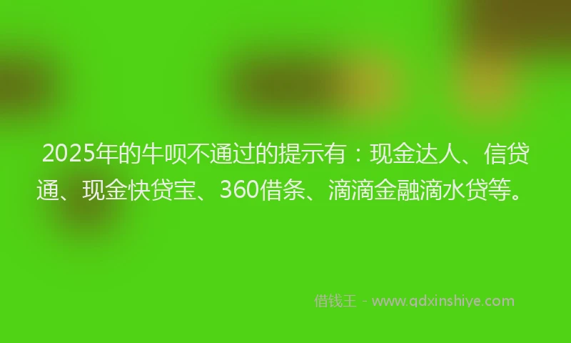 2025年的牛呗不通过的提示有：现金达人、信贷通、现金快贷宝、360借条、滴滴金融滴水贷等。