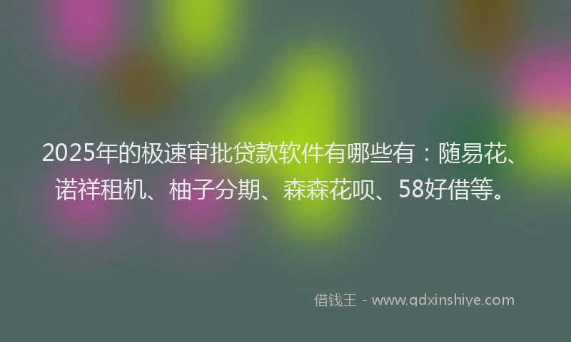 2025年的极速审批贷款软件有哪些有：随易花、诺祥租机、柚子分期、森森花呗、58好借等。