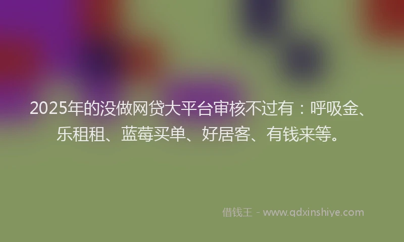 2025年的没做网贷大平台审核不过有：呼吸金、乐租租、蓝莓买单、好居客、有钱来等。