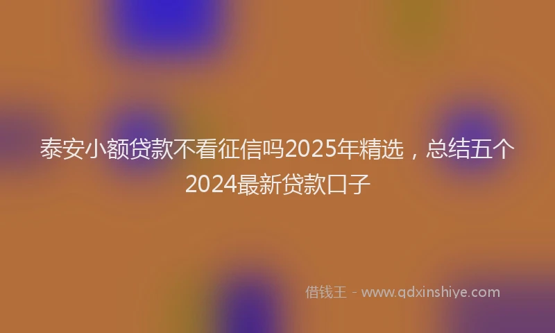 泰安小额贷款不看征信吗2025年精选，总结五个2024最新贷款口子