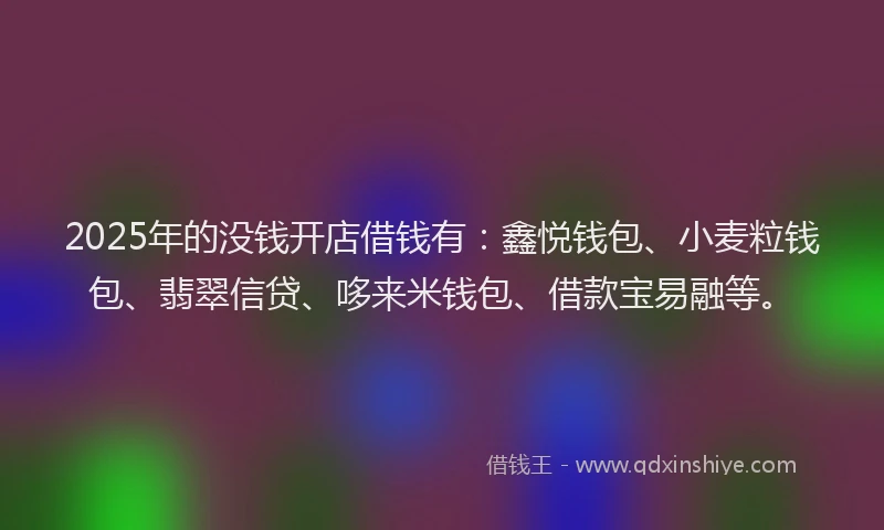 2025年的没钱开店借钱有：鑫悦钱包、小麦粒钱包、翡翠信贷、哆来米钱包、借款宝易融等。
