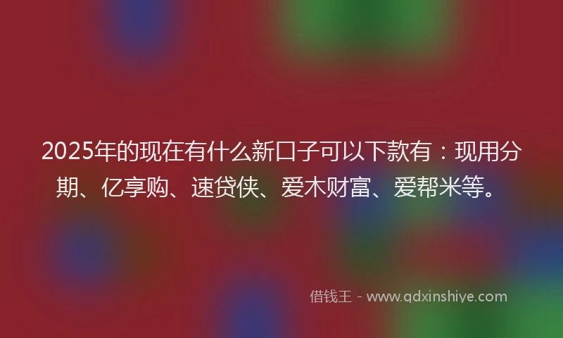 2025年的现在有什么新口子可以下款有：现用分期、亿享购、速贷侠、爱木财富、爱帮米等。
