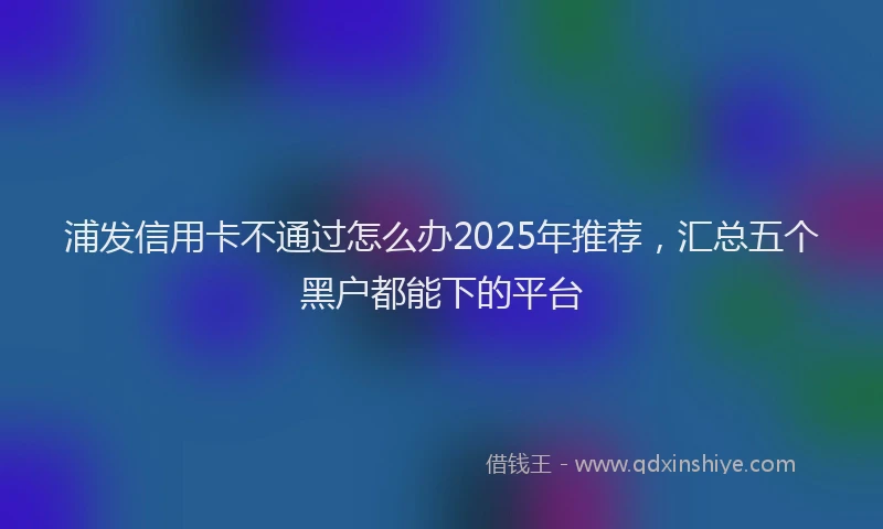 浦发信用卡不通过怎么办2025年推荐，汇总五个黑户都能下的平台