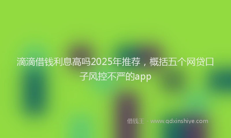 滴滴借钱利息高吗2025年推荐，概括五个网贷口子风控不严的app