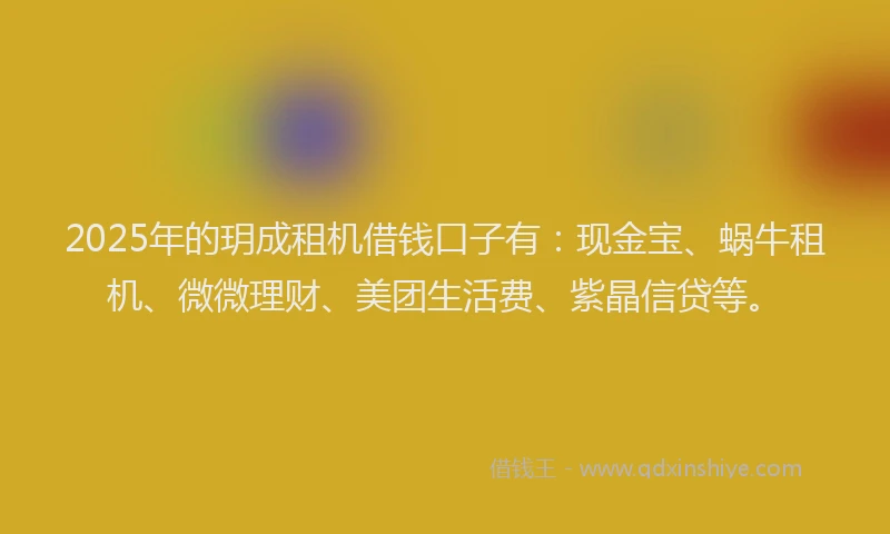 2025年的玥成租机借钱口子有：现金宝、蜗牛租机、微微理财、美团生活费、紫晶信贷等。