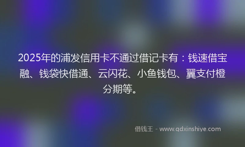 2025年的浦发信用卡不通过借记卡有：钱速借宝融、钱袋快借通、云闪花、小鱼钱包、翼支付橙分期等。