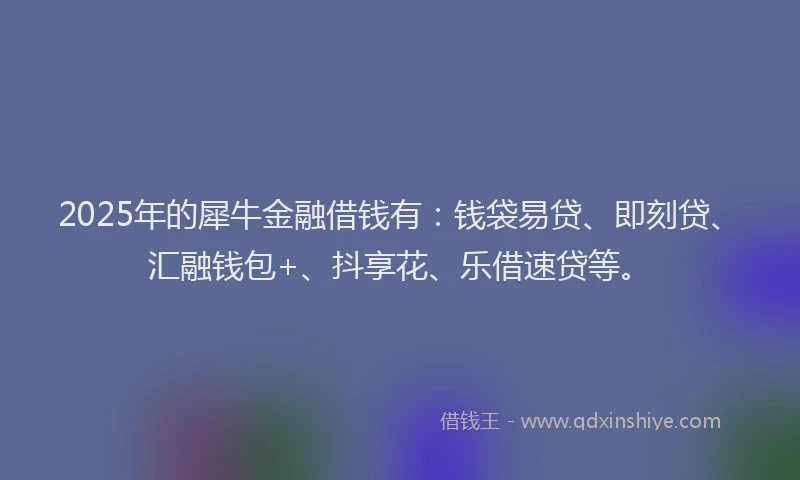 2025年的犀牛金融借钱有：钱袋易贷、即刻贷、汇融钱包+、抖享花、乐借速贷等。