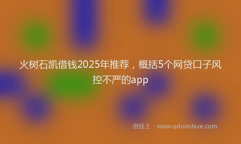 火树石凯借钱2025年推荐，概括5个网贷口子风控不严的app