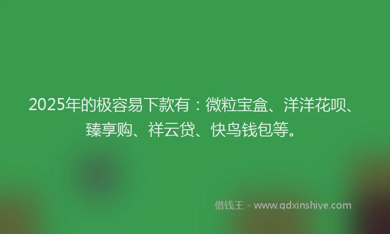 2025年的极容易下款有：微粒宝盒、洋洋花呗、臻享购、祥云贷、快鸟钱包等。