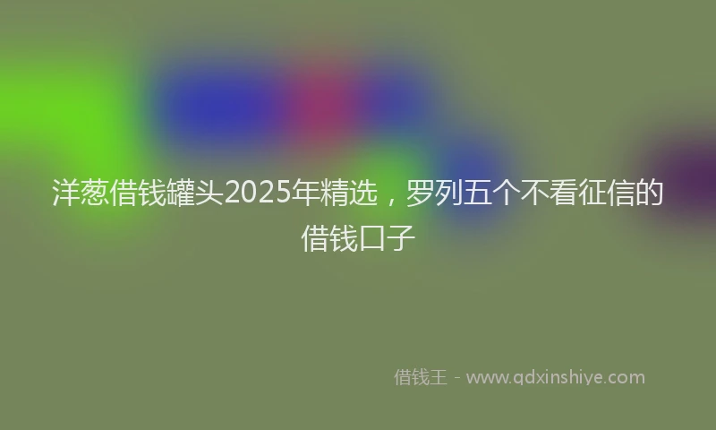 洋葱借钱罐头2025年精选，罗列五个不看征信的借钱口子