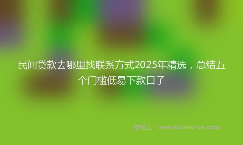 民间贷款去哪里找联系方式2025年精选，总结五个门槛低易下款口子