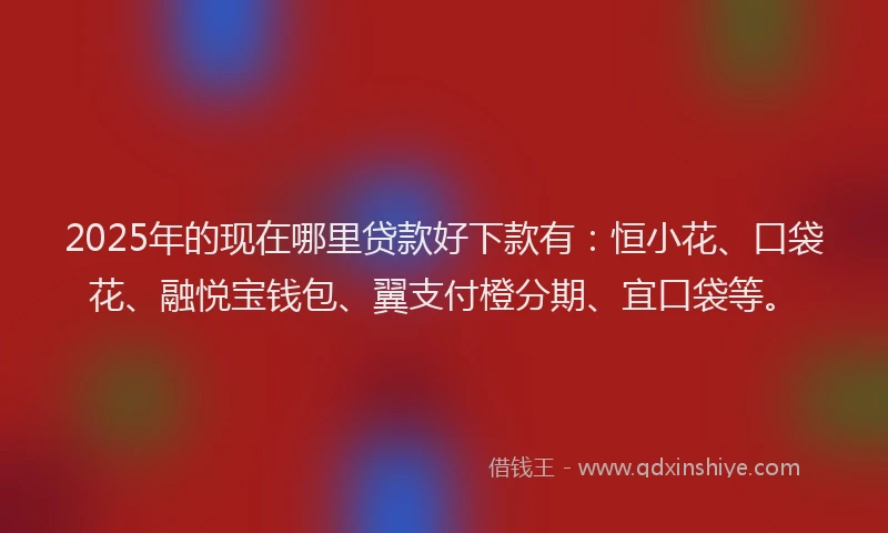 2025年的现在哪里贷款好下款有：恒小花、口袋花、融悦宝钱包、翼支付橙分期、宜口袋等。