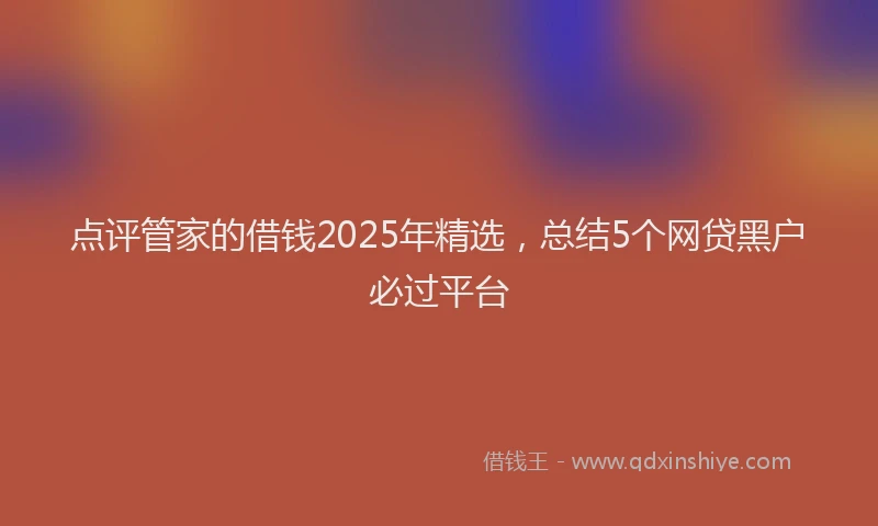 点评管家的借钱2025年精选，总结5个网贷黑户必过平台