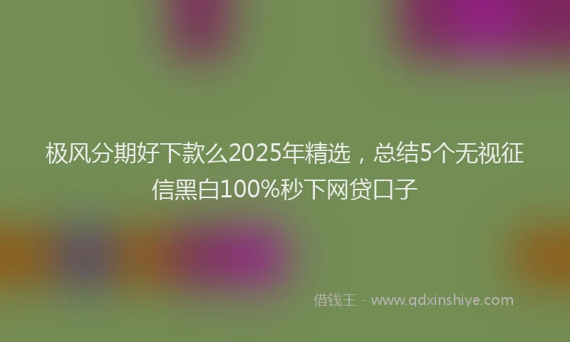 极风分期好下款么2025年精选，总结5个无视征信黑白100%秒下网贷口子