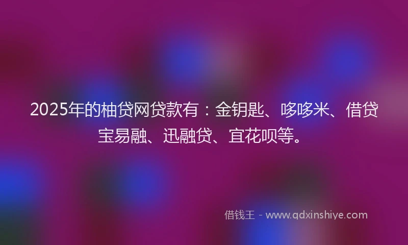 2025年的柚贷网贷款有：金钥匙、哆哆米、借贷宝易融、迅融贷、宜花呗等。