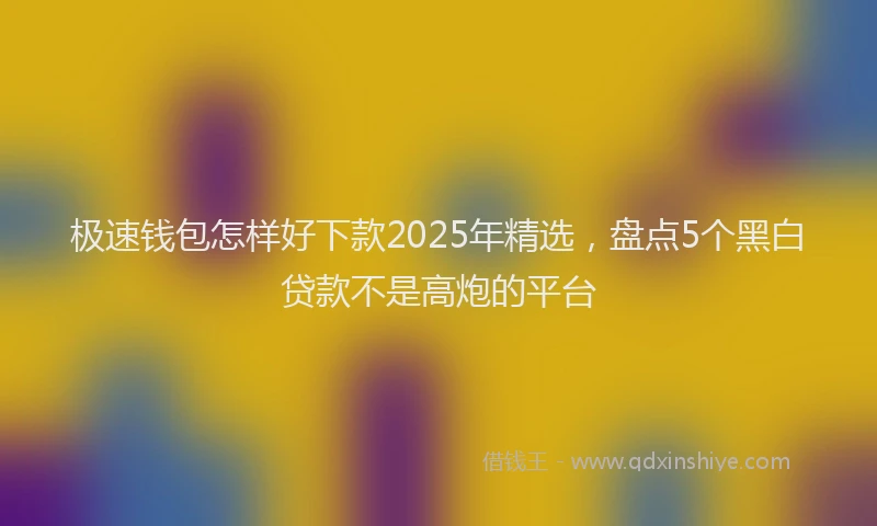 极速钱包怎样好下款2025年精选，盘点5个黑白贷款不是高炮的平台